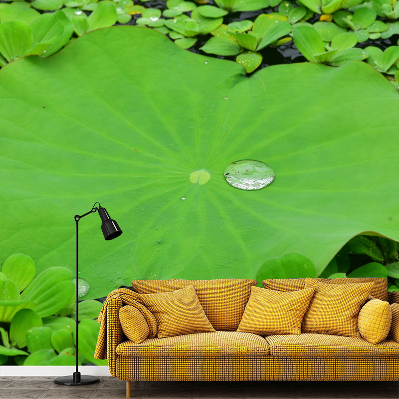 Lotus Leaf Moisture Resistant Mural for Sitting Room, Customized Size Available
