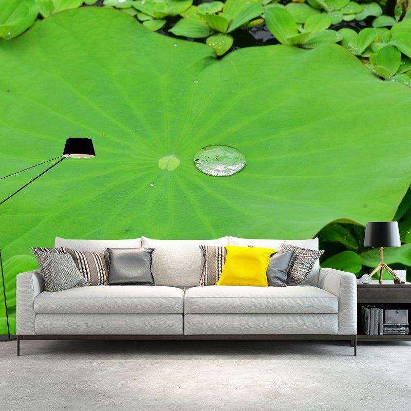 Lotus Leaf Moisture Resistant Mural for Sitting Room, Customized Size Available