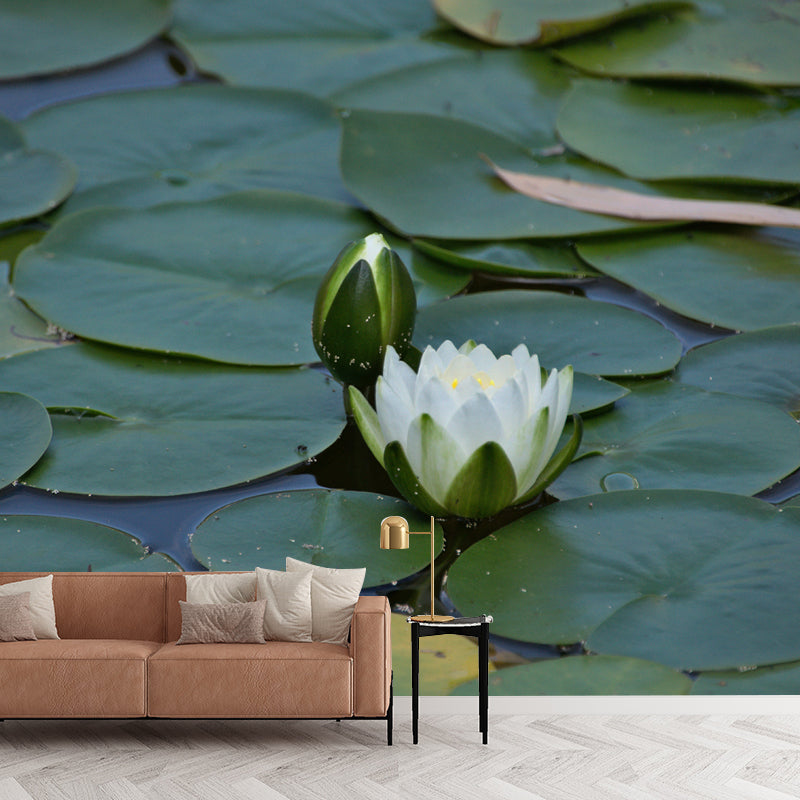 Green Lotus Leaf Full Size Wall Mural for Living Room, Moisture Resistant