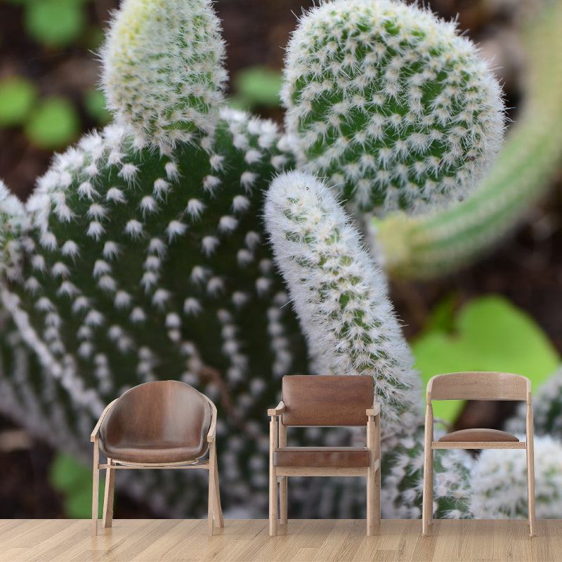 Cactus Plant Minimalist Wall Covering for Living Room, Customized Size Available