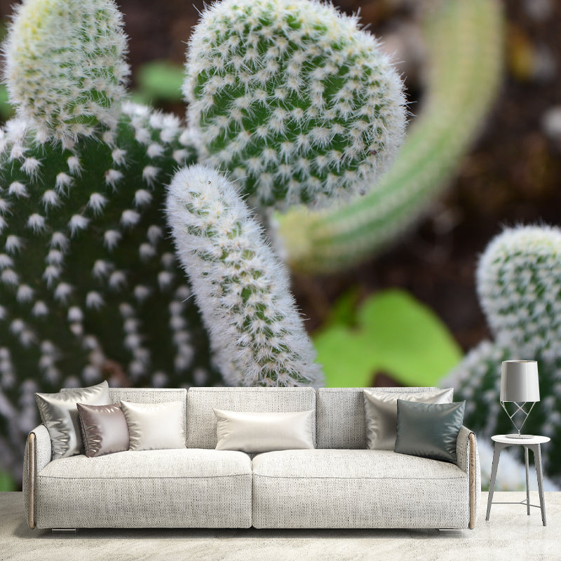 Cactus Plant Minimalist Wall Covering for Living Room, Customized Size Available
