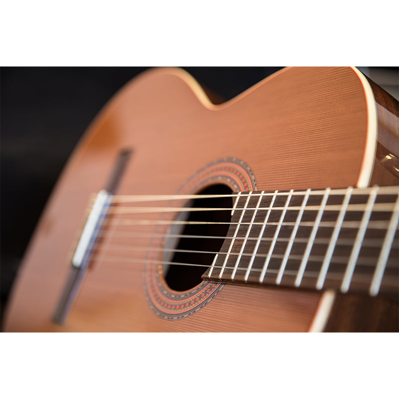 Minimalist Style Guitar Instrument Wall Mural for Playroom, Personalized Size