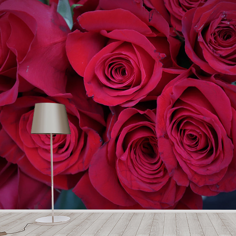 Rose Flower Mural Wallpaper Full Size Minimalist Wall Mural for Gust Room