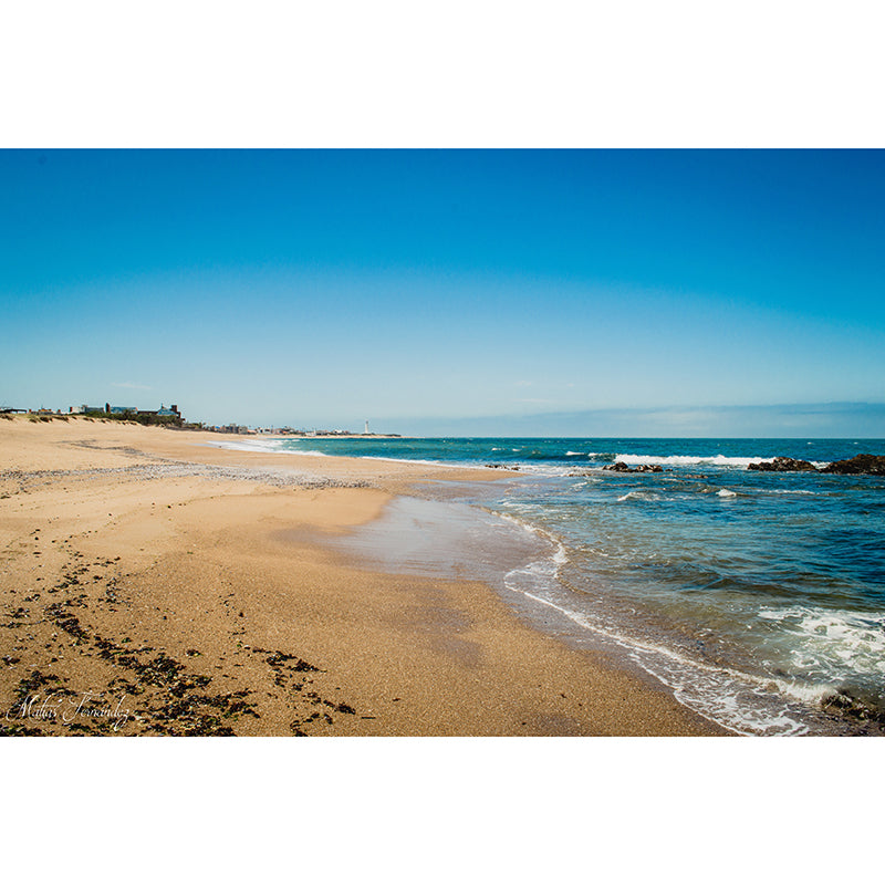 Sandy Beach View Mural Decoration for Interior Room, Moisture Resistant