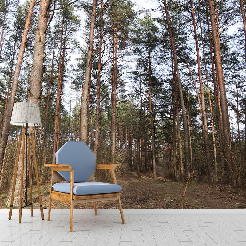 Forest Scenery Moisture Resistant Living Room Wall Decor, Custom Size Available