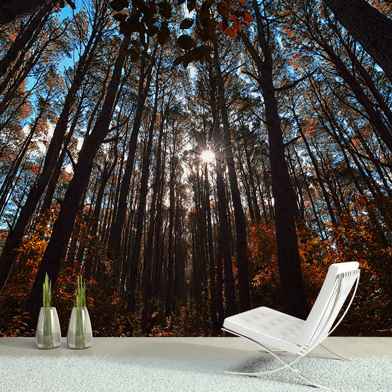 Forest Scenery Moisture Resistant Living Room Wall Decor, Custom Size Available