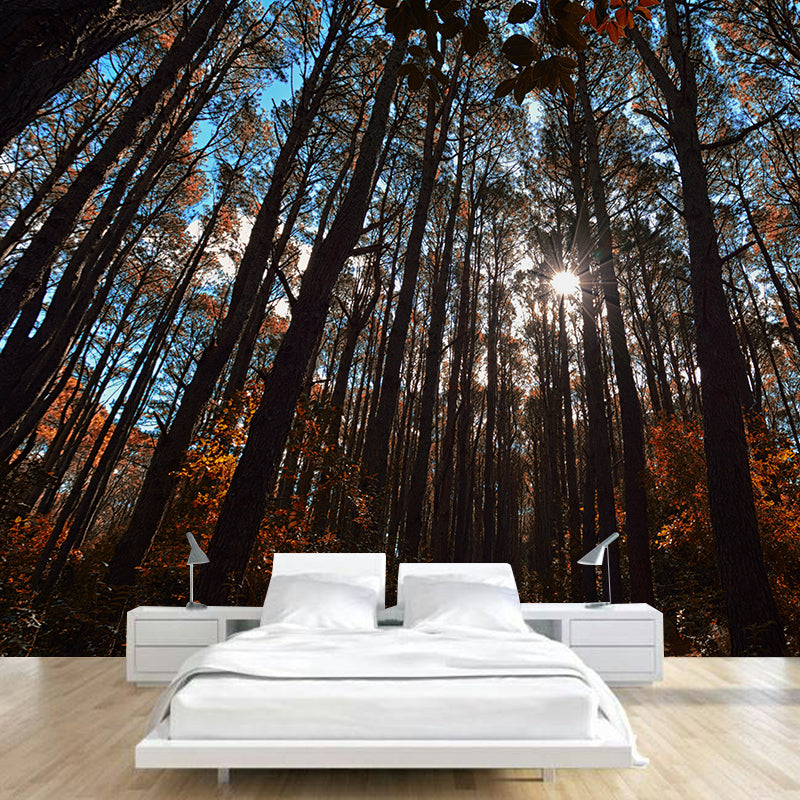 Forest Scenery Moisture Resistant Living Room Wall Decor, Custom Size Available