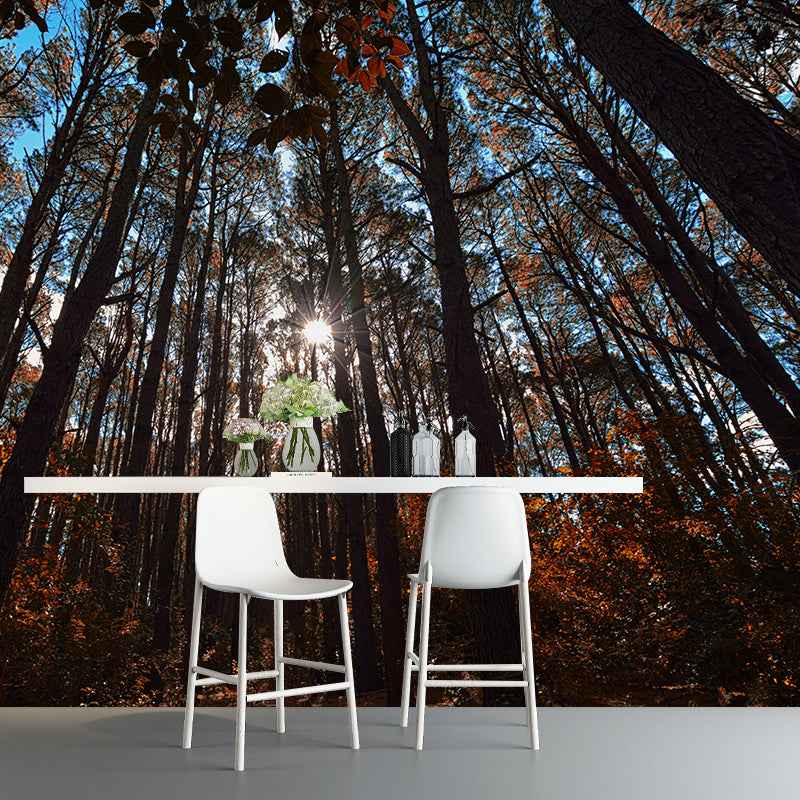 Forest Scenery Moisture Resistant Living Room Wall Decor, Custom Size Available