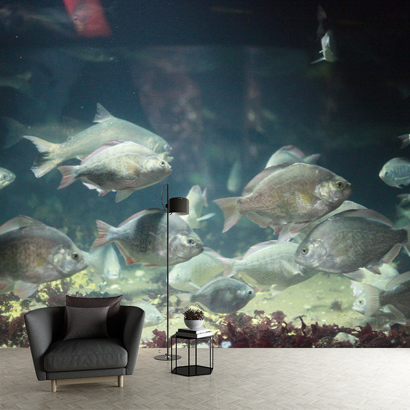 Sea Creatures Contemporary Mural Wallpaper for Home Decoration, Waterproofing