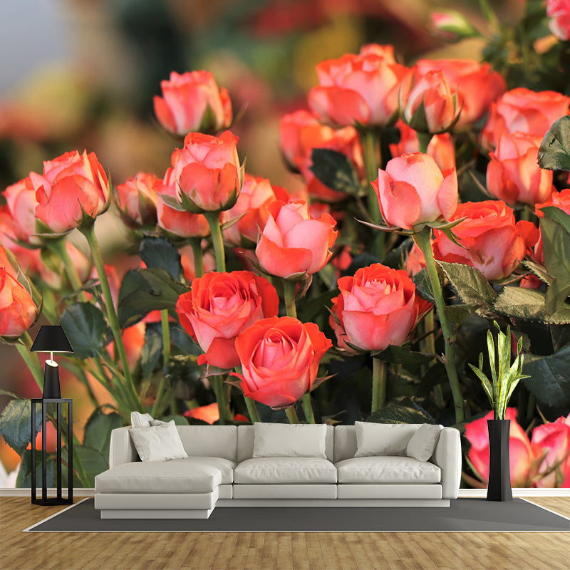 Blooming Rose Wall Mural Wallpaper for Girl Bedroom, Custom Size Available