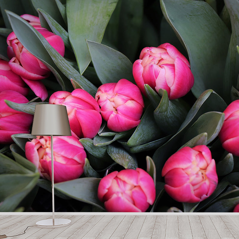 Tulip Minimalism Style Mural Wallpaper for Sleeping Room, Moisture Resistant