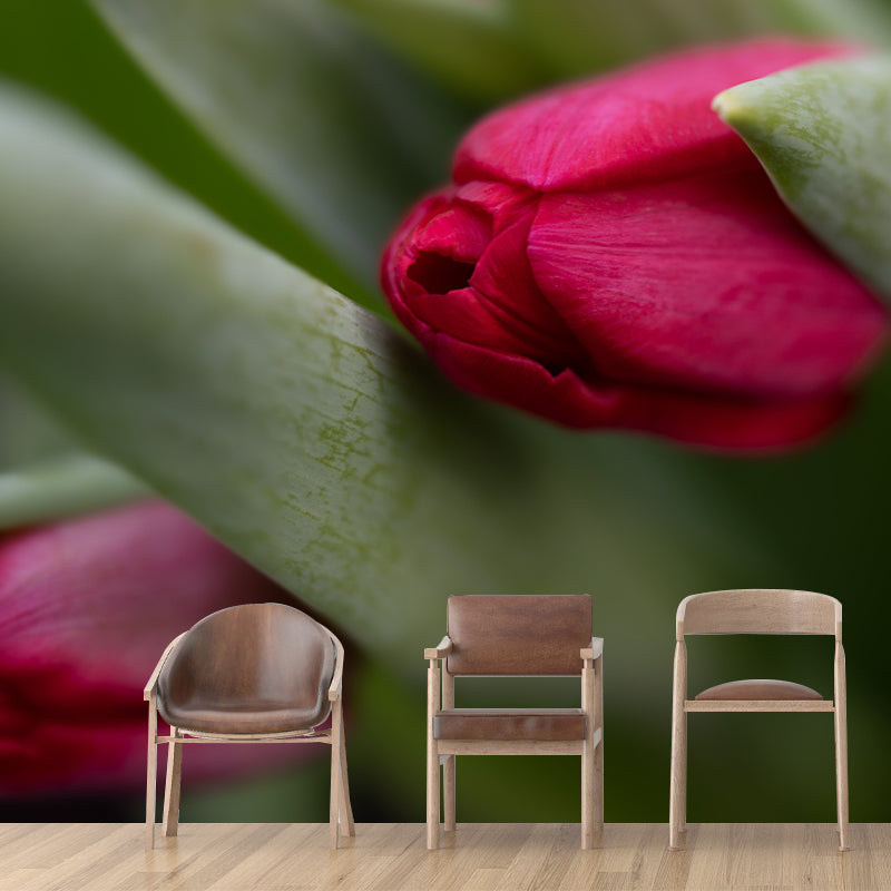 Tulip Minimalism Style Mural Wallpaper for Sleeping Room, Moisture Resistant