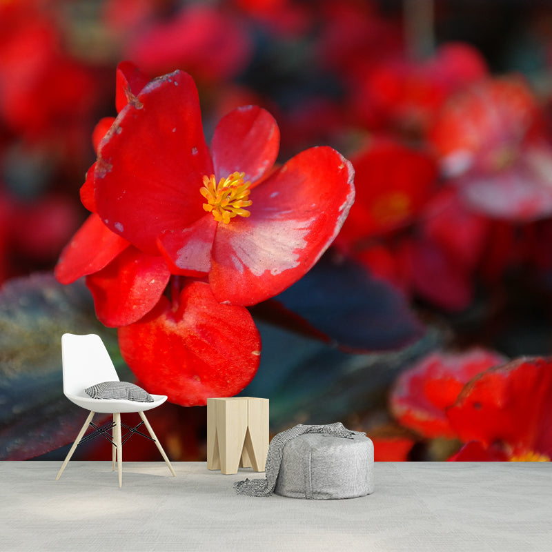 Begonia Flowers Moisture Resistant Mural Wallpaper for Gust Room Bedroom