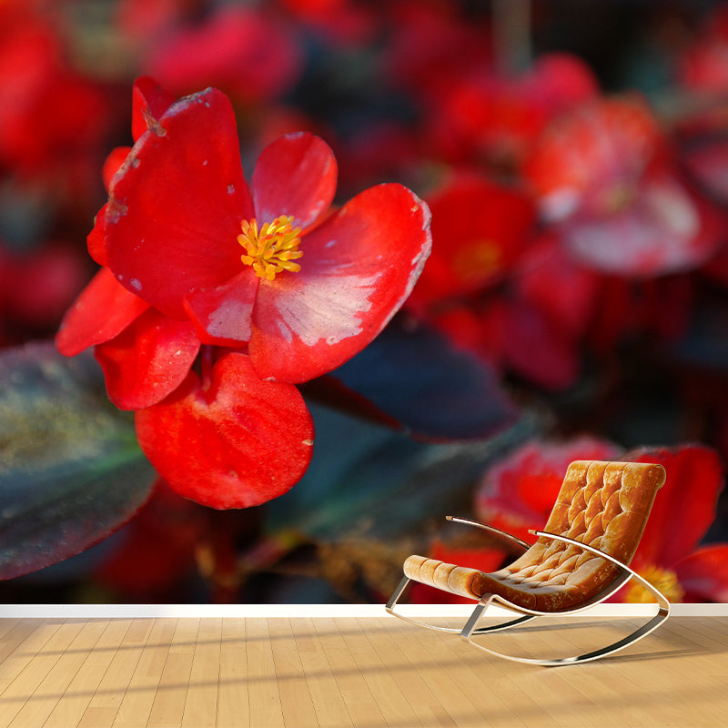 Begonia Flowers Moisture Resistant Mural Wallpaper for Gust Room Bedroom