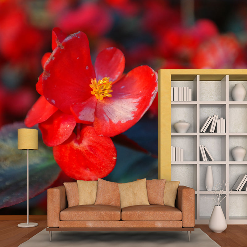 Begonia Flowers Moisture Resistant Mural Wallpaper for Gust Room Bedroom