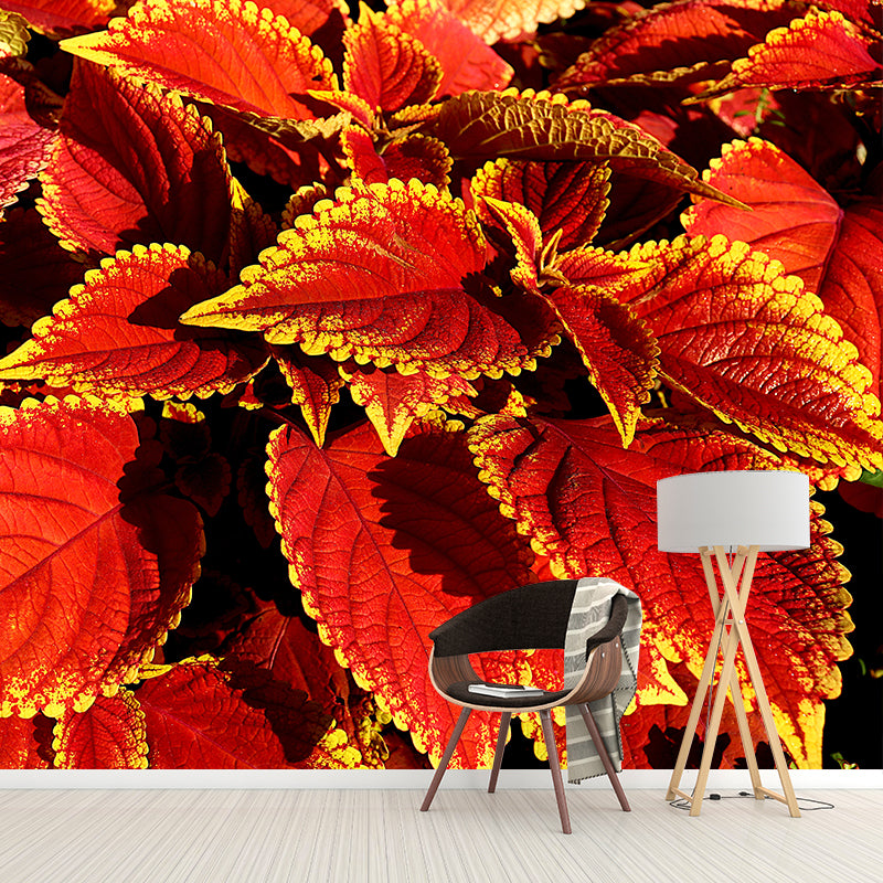 Coleus Plant Moisture Resistant Mural Decal Environment Friendly for Bathroom