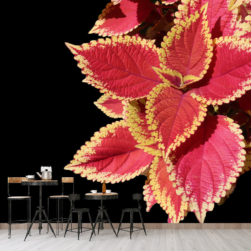 Coleus Plant Wall Mural Eco-friendly Customized Wall Covering for Sitting Room