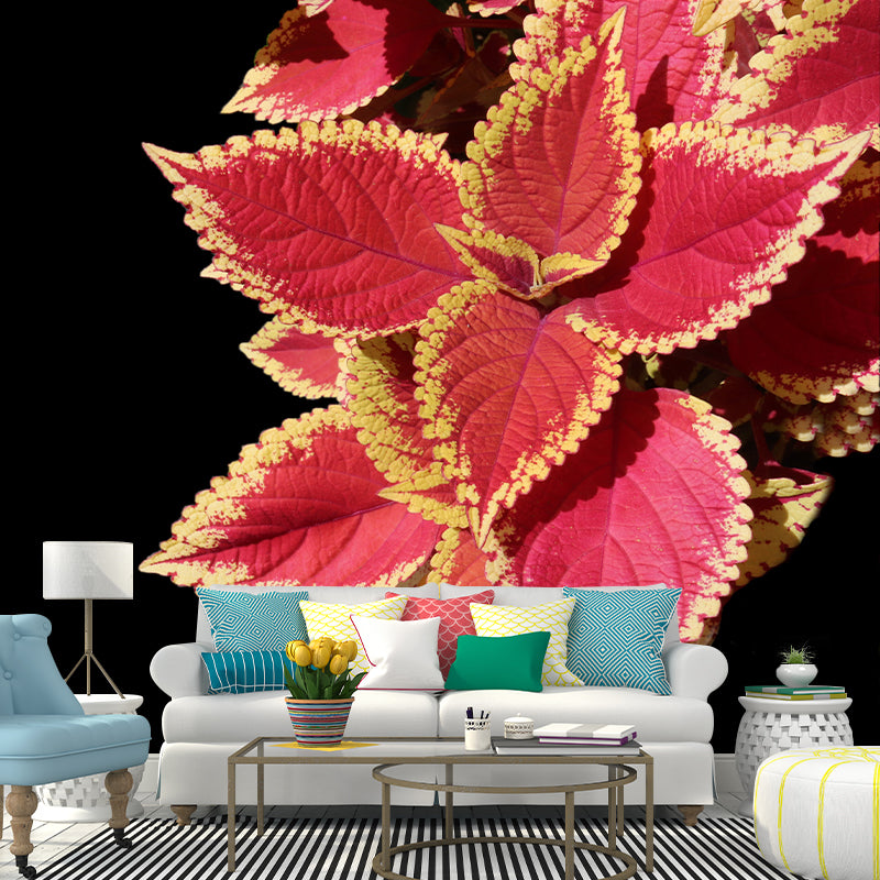 Coleus Plant Wall Mural Eco-friendly Customized Wall Covering for Sitting Room
