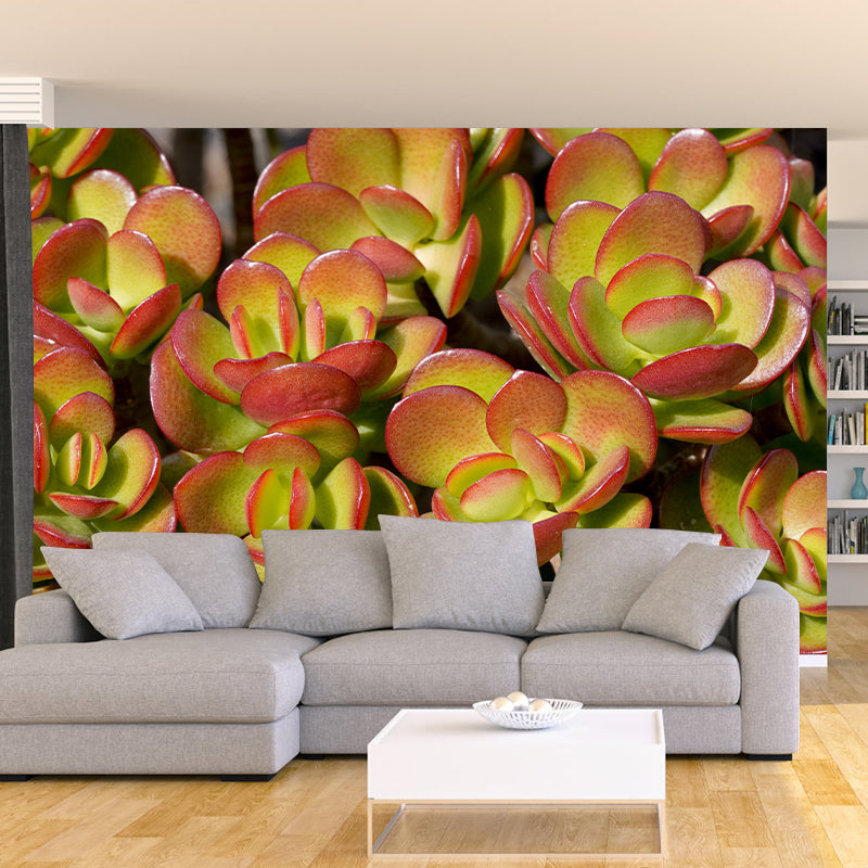 Green Plants Photography Murals Wallpaper Moisture Resistant for Bedroom