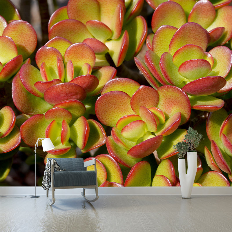 Green Plants Photography Murals Wallpaper Moisture Resistant for Bedroom