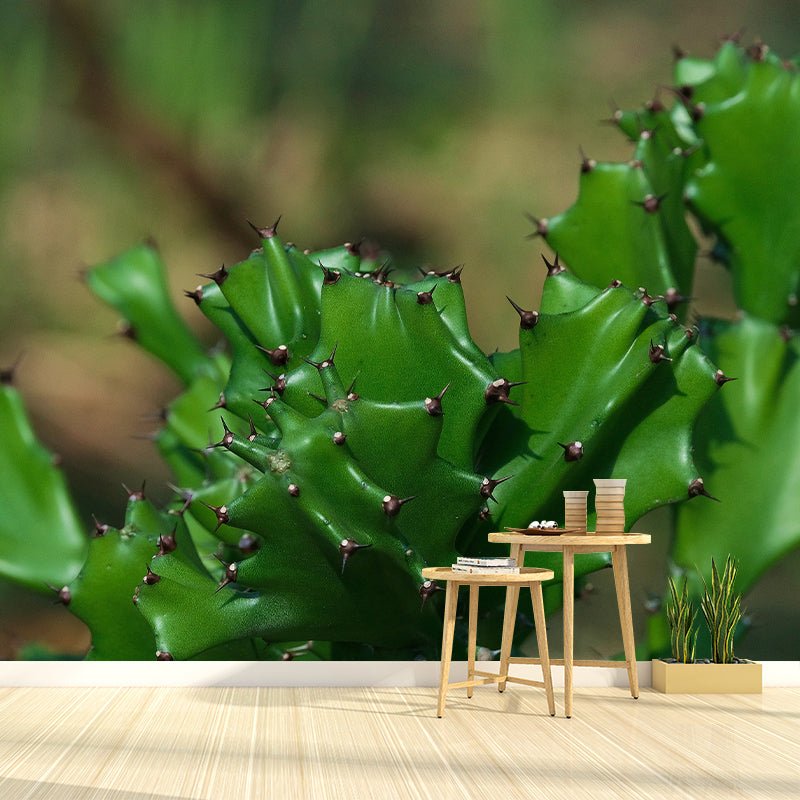 Green Plants Mural Mildew Resistant for Sitting Room Bedroom, Moisture Resistant