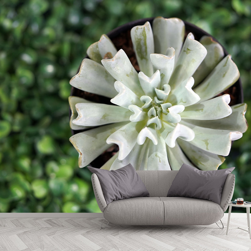 Green Plants Mural Mildew Resistant for Sitting Room Bedroom, Moisture Resistant