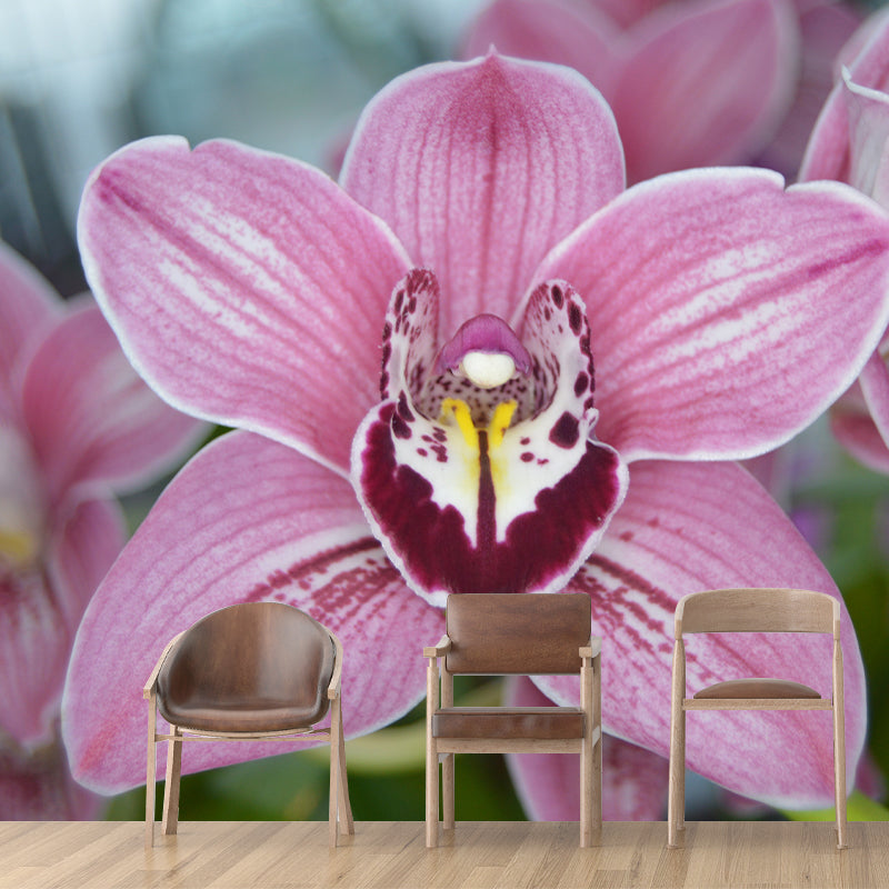 Orchid Flower Wall Covering for Sleeping Room Home Decor, Made to Measure