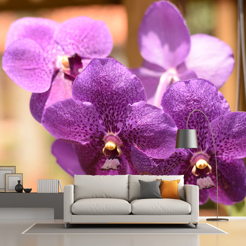 Cymbidium Photo Mural Decal Modern Wall Decor for Sleeping Room, Waterproofing