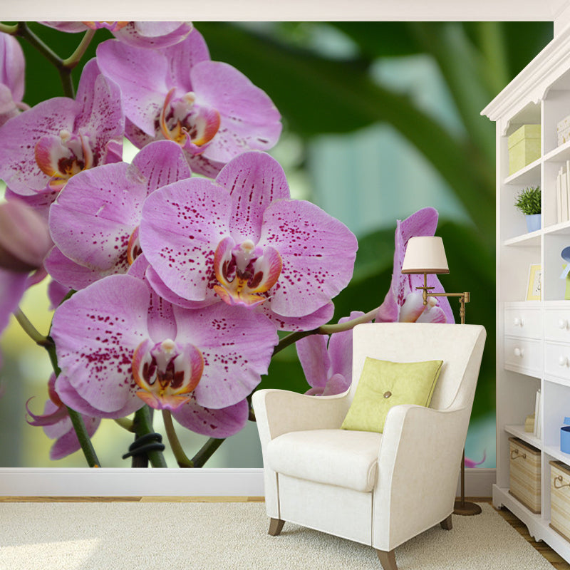 Cymbidium Contemporary Mural Wallpaper for Home Decoration, Stain Resistant