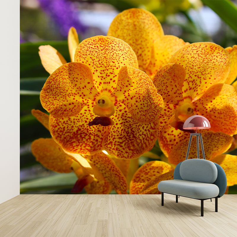 Cymbidium Contemporary Mural Wallpaper for Home Decoration, Stain Resistant