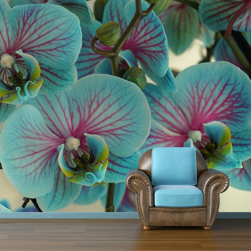 Cymbidium Contemporary Mural Wallpaper for Home Decoration, Stain Resistant
