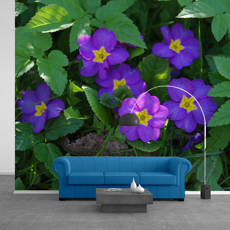 Contemporary Blooming Primrose Mural Wallpaper Environmental for Bedroom