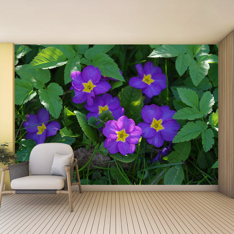 Contemporary Blooming Primrose Mural Wallpaper Environmental for Bedroom
