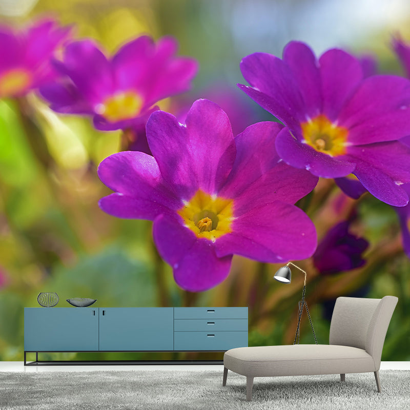 Contemporary Blooming Primrose Mural Wallpaper Environmental for Bedroom