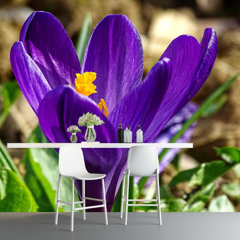 Blooming Saffron Mural Wallpaper Environmental Contemporary for Bedroom