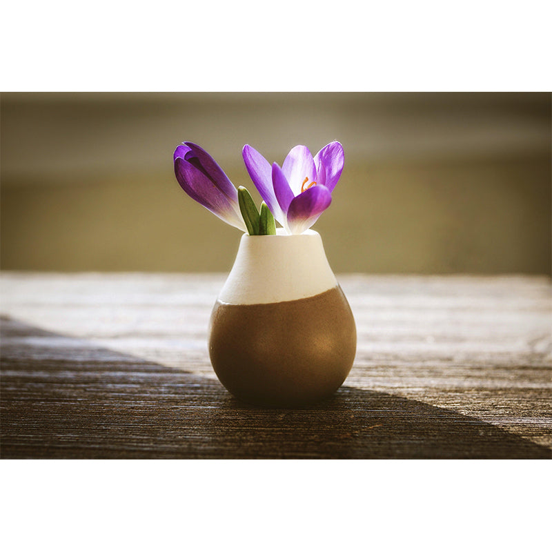 Blooming Saffron Mural Wallpaper Environmental Contemporary for Bedroom