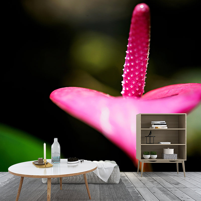 Blooming Anthurium Mural Wallpaper Environmental Contemporary for Bedroom