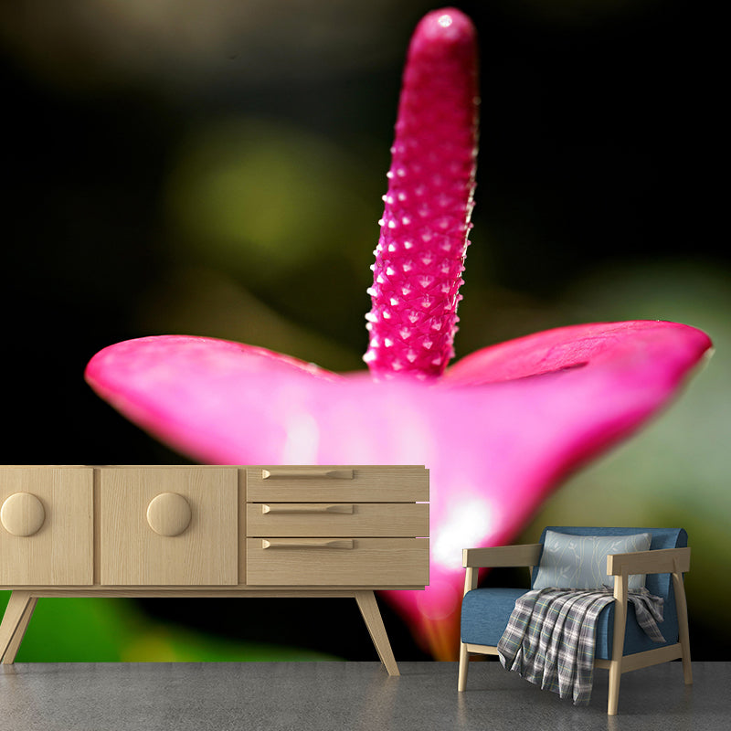 Blooming Anthurium Mural Wallpaper Environmental Contemporary for Bedroom