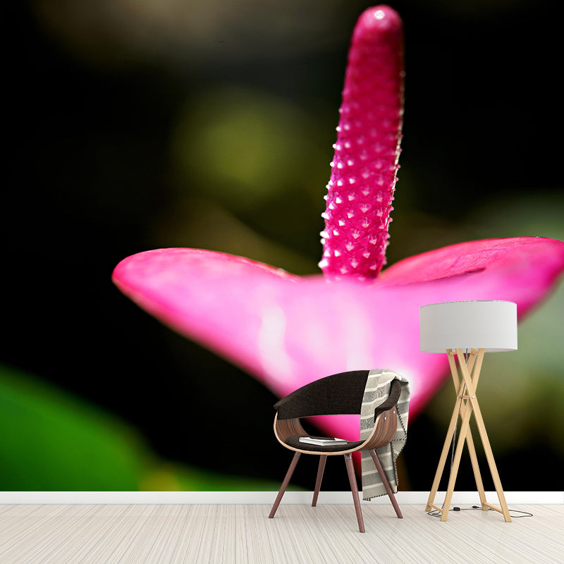 Blooming Anthurium Mural Wallpaper Environmental Contemporary for Bedroom