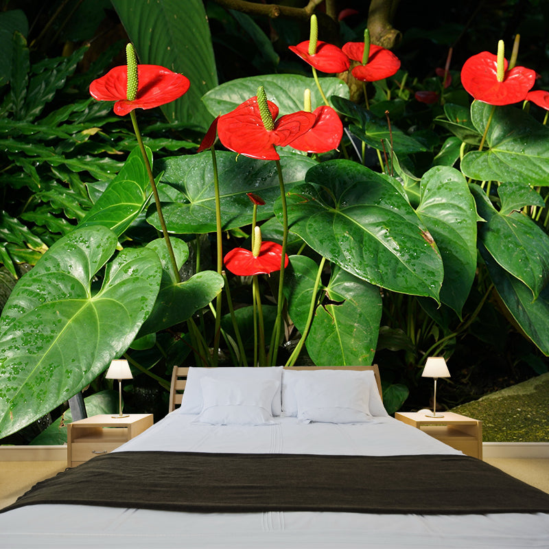 Blooming Anthurium Mural Wallpaper Environmental Contemporary for Bedroom
