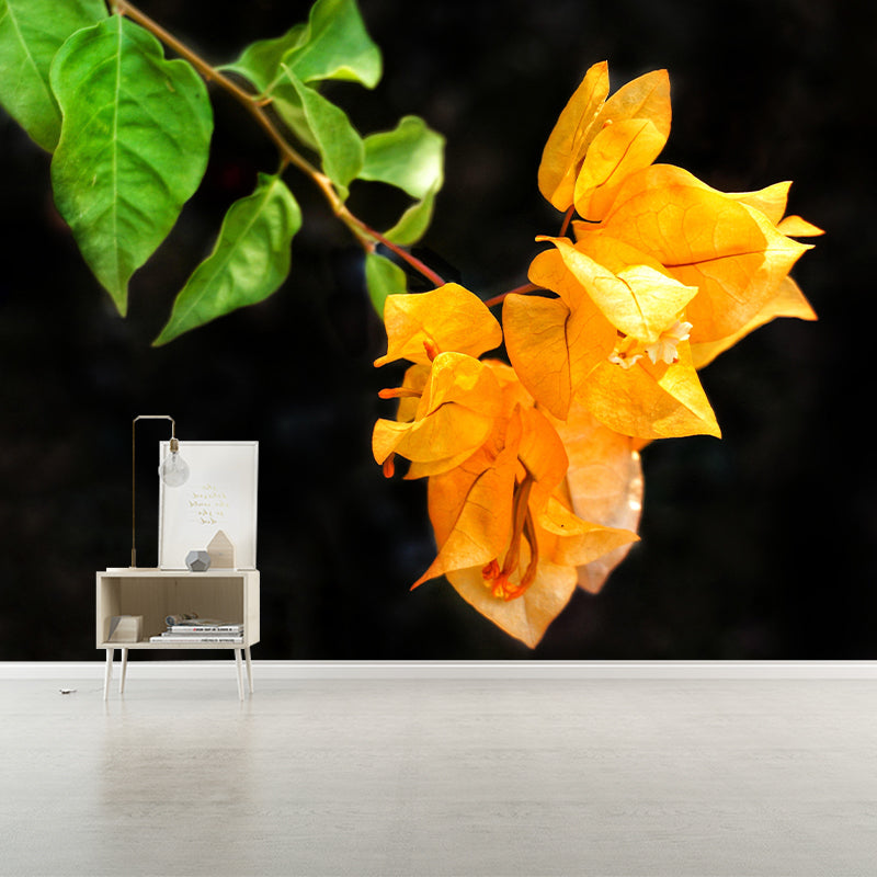 Blooming Bougainvillea Mural Wallpaper Environmental Contemporary for Bedroom