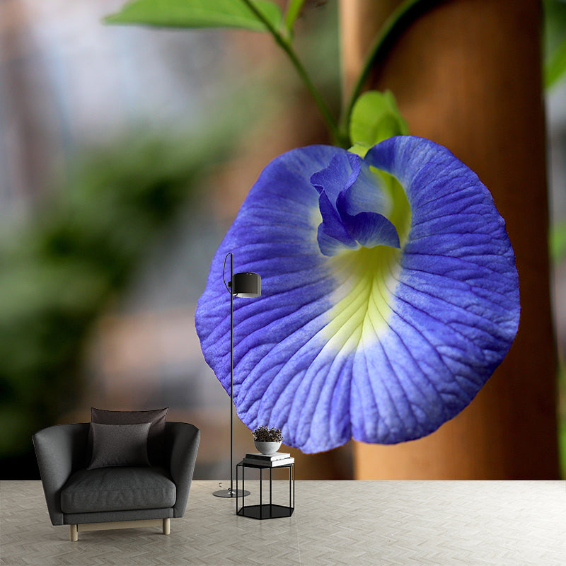 Blooming Morning Glory Mural Wallpaper Environmental Contemporary for Bedroom
