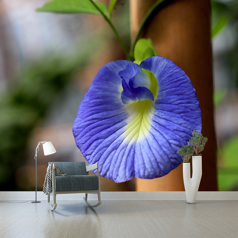 Blooming Morning Glory Mural Wallpaper Environmental Contemporary for Bedroom