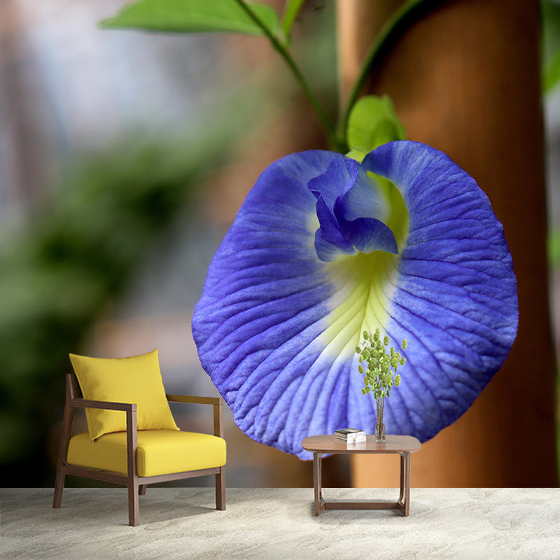 Blooming Morning Glory Mural Wallpaper Environmental Contemporary for Bedroom