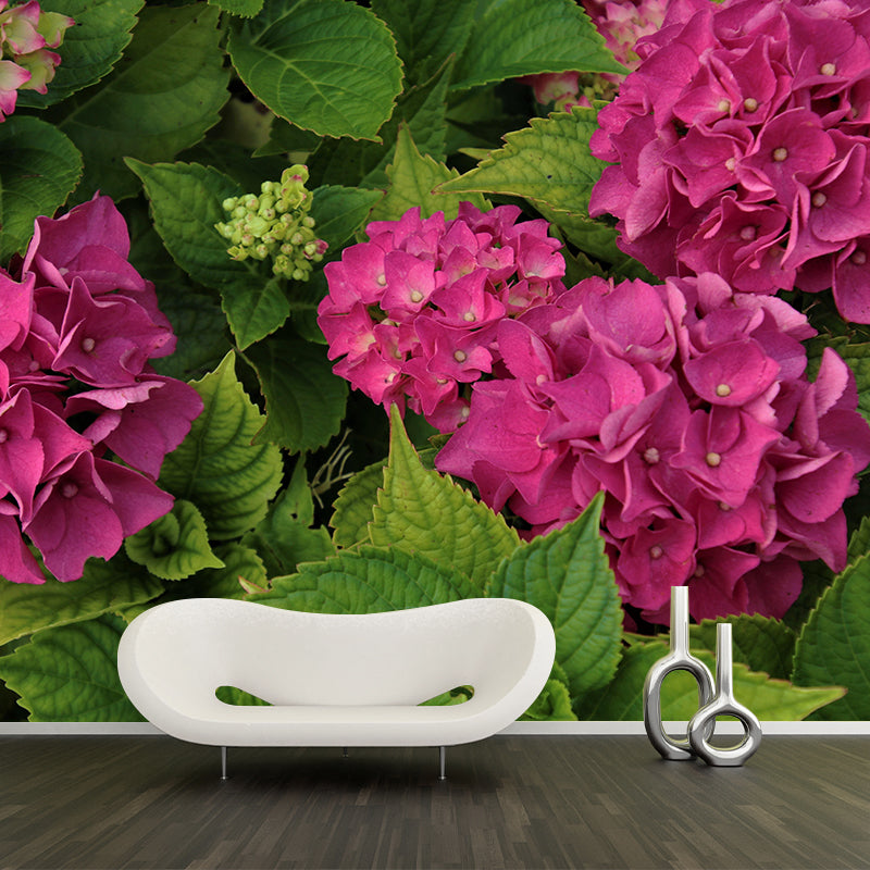 Blooming Hydrangea Mural Wallpaper Environmental Contemporary for Bedroom
