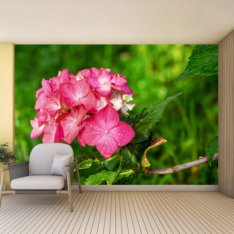 Blooming Hydrangea Mural Wallpaper Environmental Contemporary for Bedroom