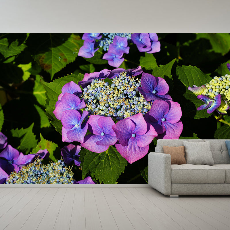 Blooming Hydrangea Mural Wallpaper Environmental Contemporary for Bedroom