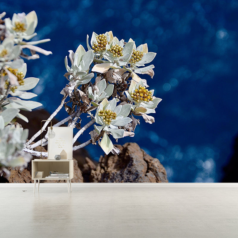 Edelweiss Mural Wallpaper Environmental Contemporary for Living Room Bedroom