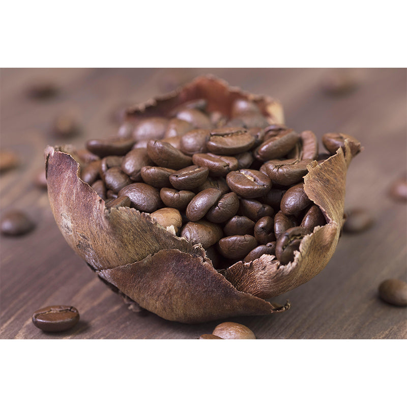 Coffee Beans Mural Contemporary Mildew Resistant Wall Covering for Coffee Shop