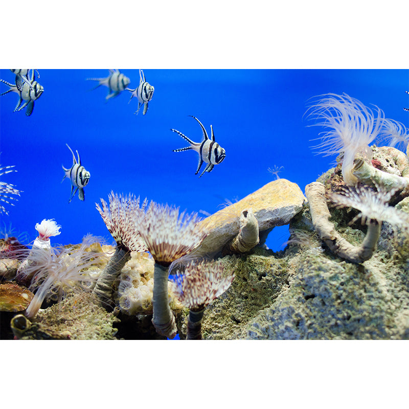 Tropical Beach Style Seabed Mural Mildew Resistant Wallpaper for Sleeping Room